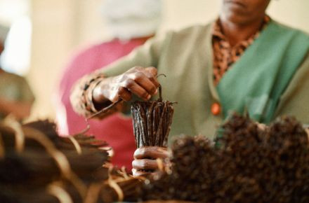 Ein Hauch von Weihnachten, der bleibt