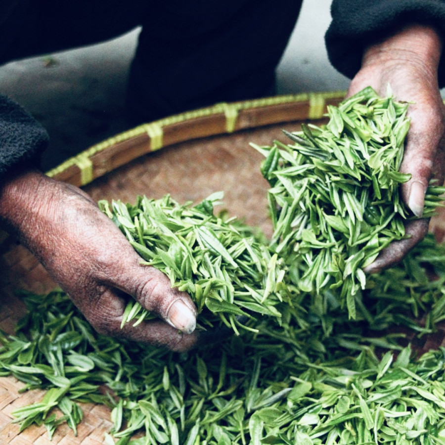 Are you already awake?