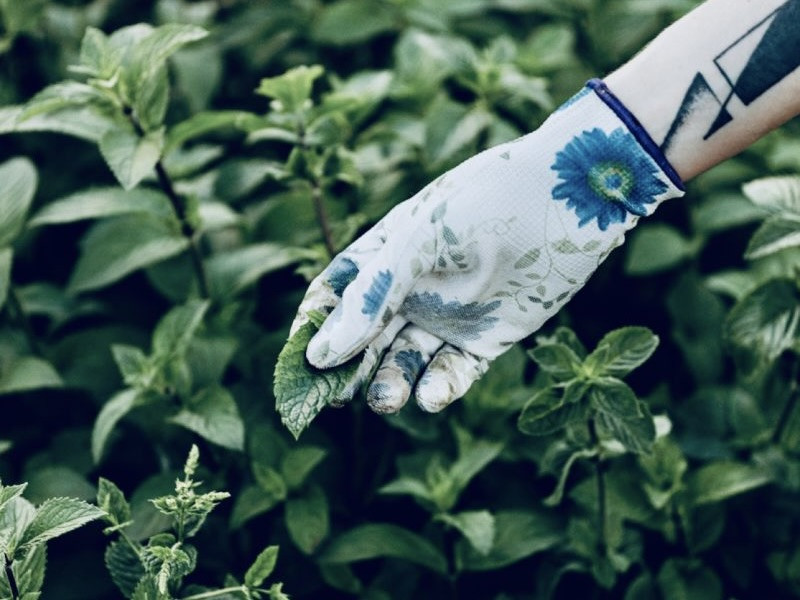 Those were some refreshing experiments!