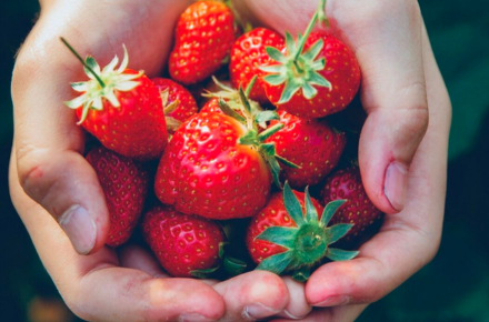 The taste of sweet memories