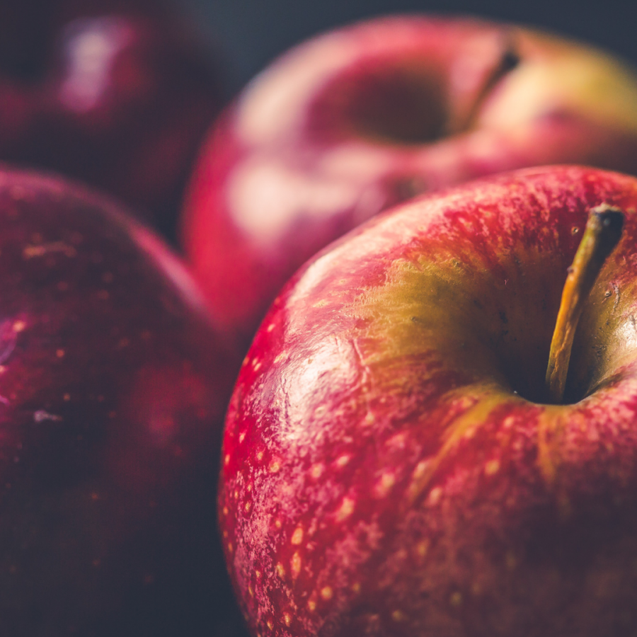 An autumn classic in product development