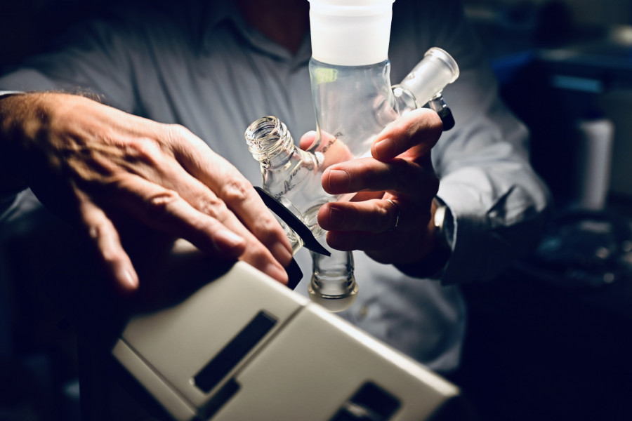 Another new family member in our lab!