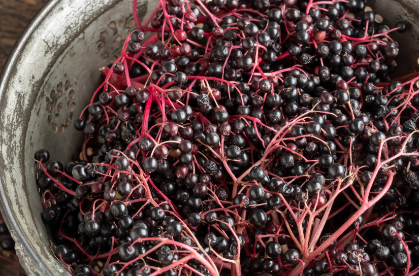 It blooms sustainably!