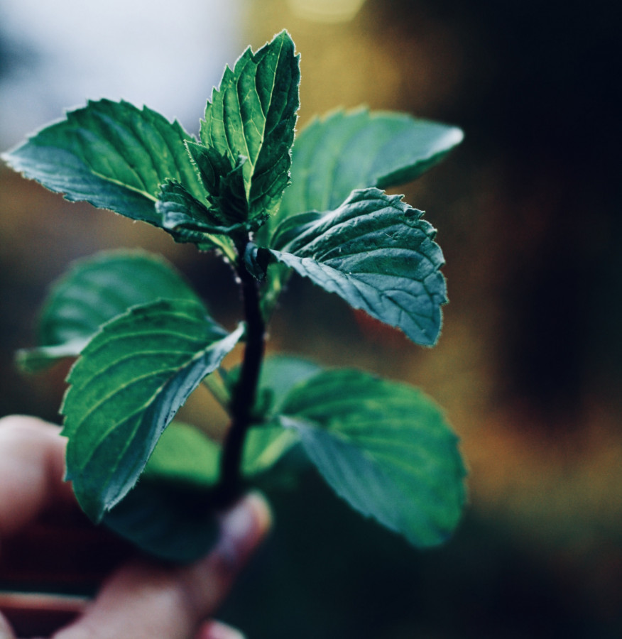 Let's continue in a fresh way!