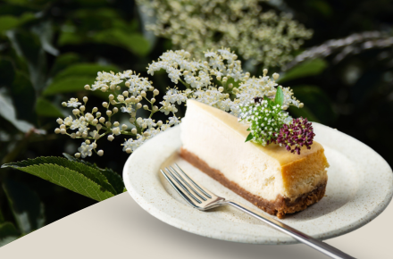 Elderflower product idea