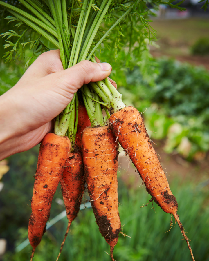 Preferring juice over smoothies?