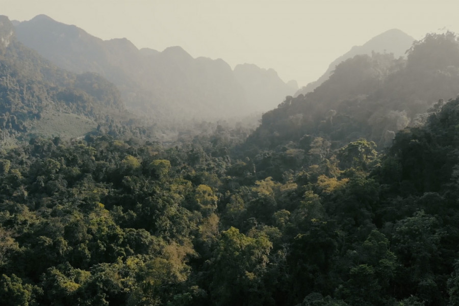 Naturally made responsive.