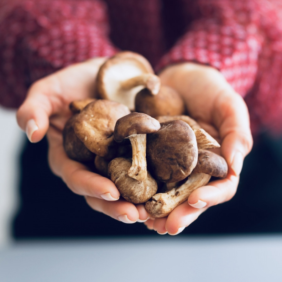 Do you want even more umami flavor?