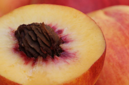 Peach is one of the evergreens in the drinks sector, but only if it tastes real.