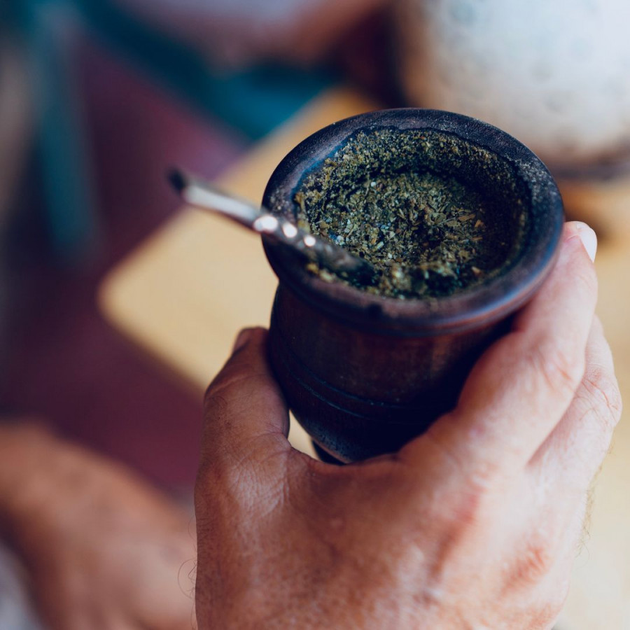 This plant has been on the trend radar for a long time