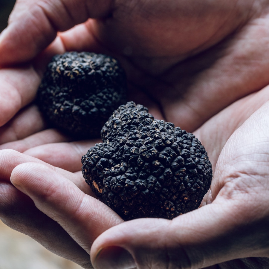 We are enjoying something special ...