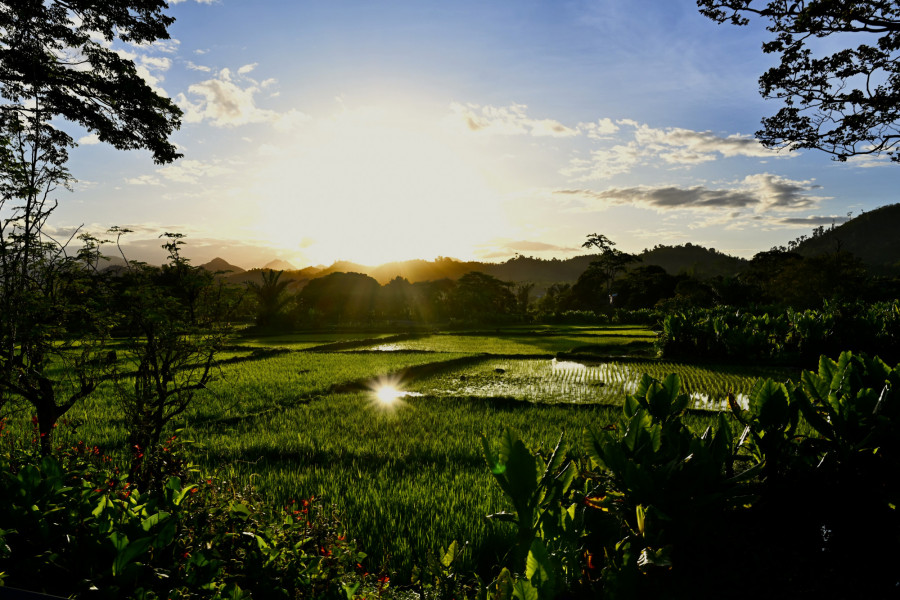 Our path to becoming a CO2-neutral company ...