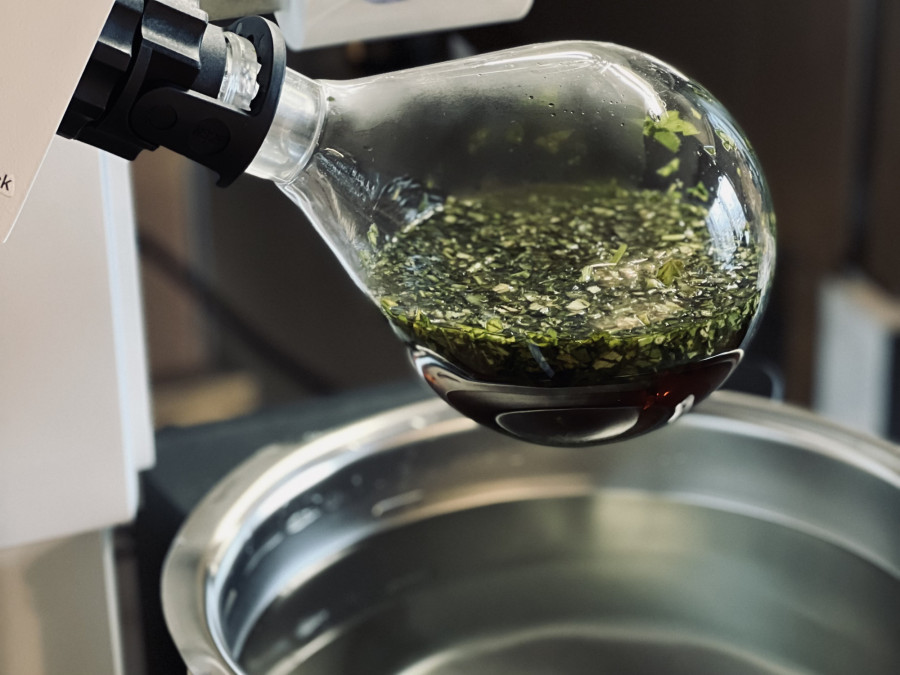 Our Nutramaxx family has grown!