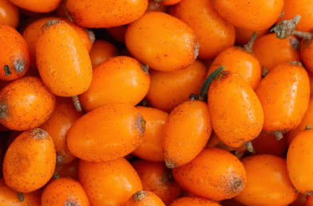 Underestimated power fruit