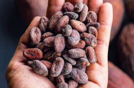 A full taste experience!