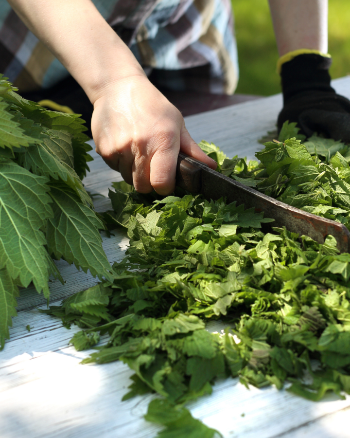 The ultimate green trend product!