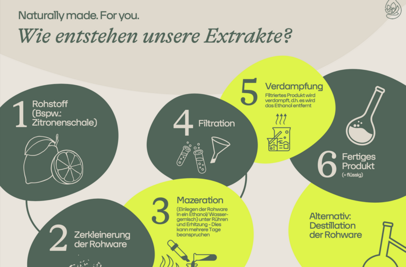 Wie entstehen eigentlich unsere Extrakte im Labor?