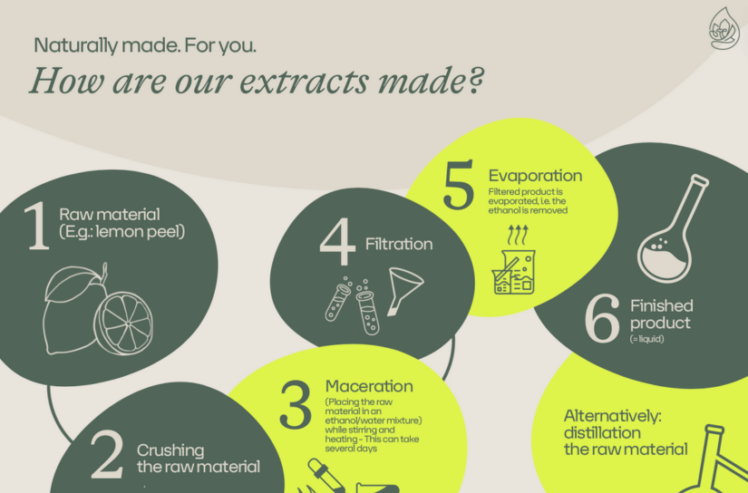 How are our hashtag extracts actually created in the lab?