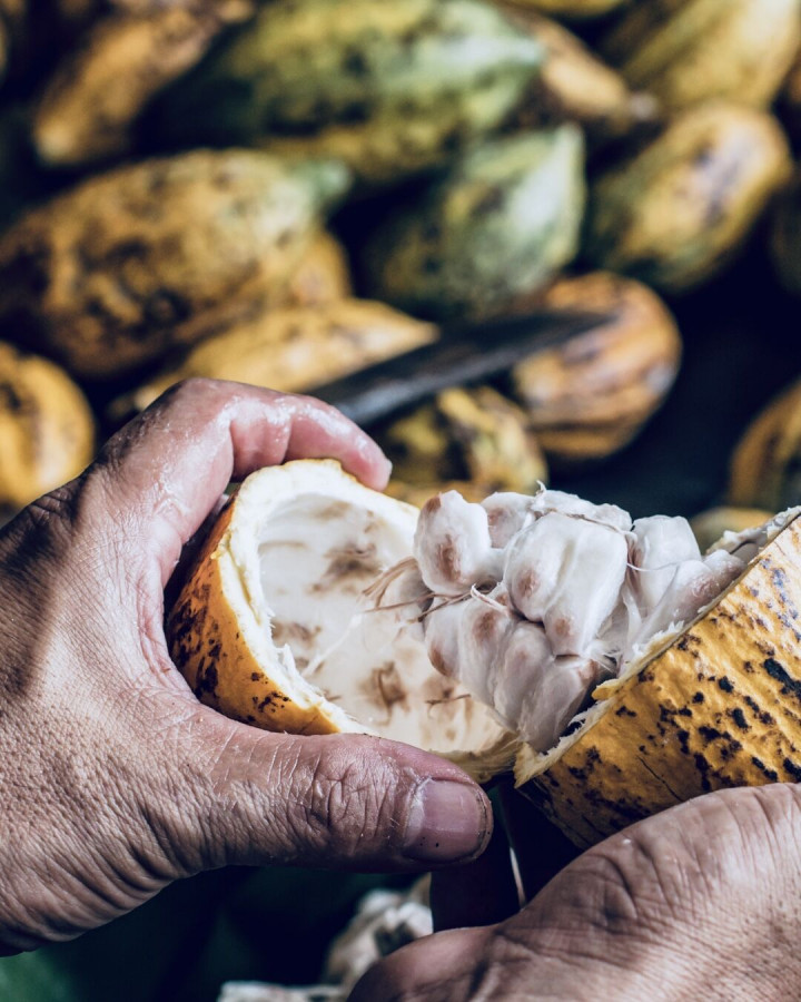 We all know it, we all love it: